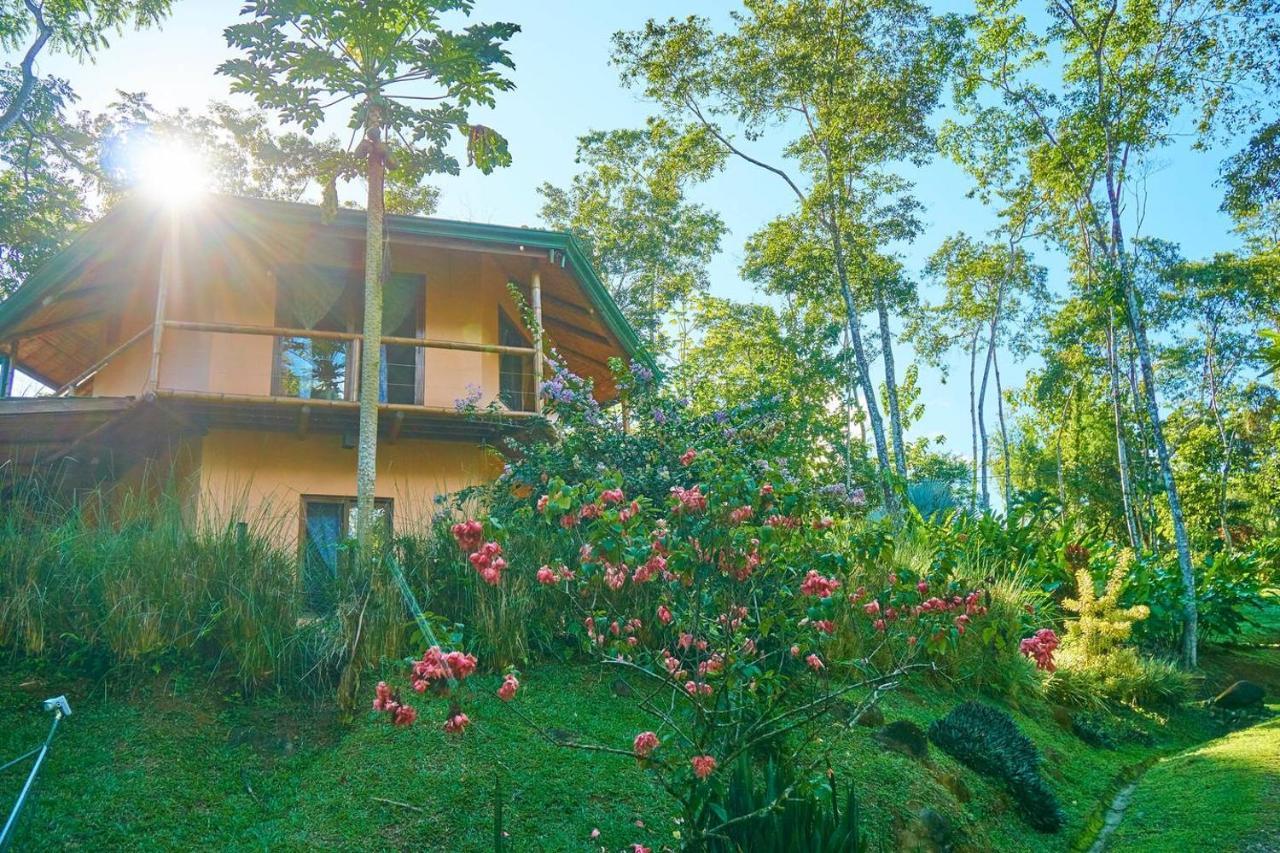 Manoas Bed & Breakfast Uvita Eksteriør bilde