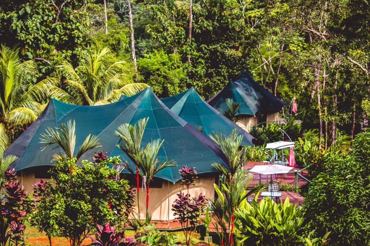Manoas Bed & Breakfast Uvita Eksteriør bilde